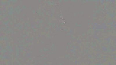 Blakke_AnnCams from Colombia