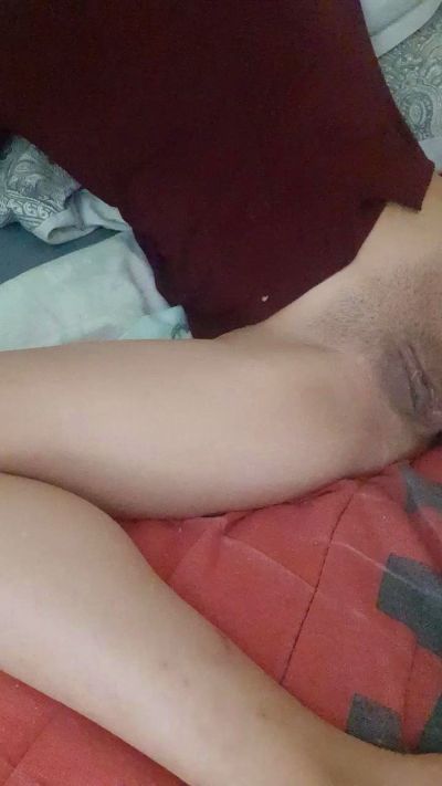 PITAREX from Portugal