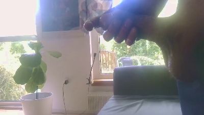 Sturtlem from Denmark