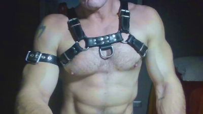 horny__pig from United States