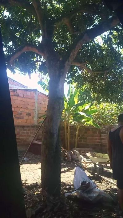 jhoansex7 from Colombia